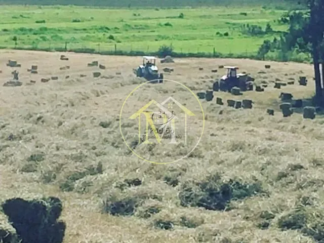 Haras com 63m² 3 quartos e 8 banheiros, à venda, no bairro Área rural em Bauru