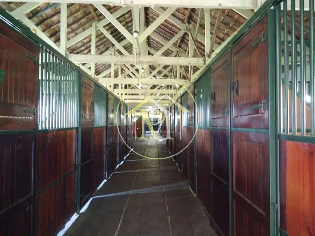 Fazenda, 5 hectares - Foto 25