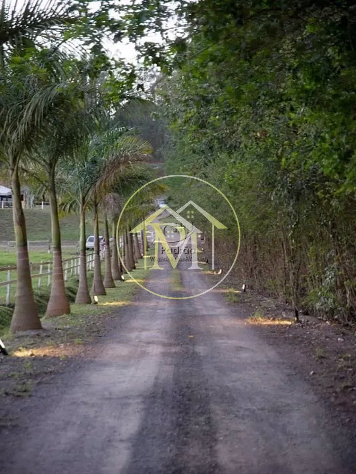 Fazenda, 5 hectares - Foto 12