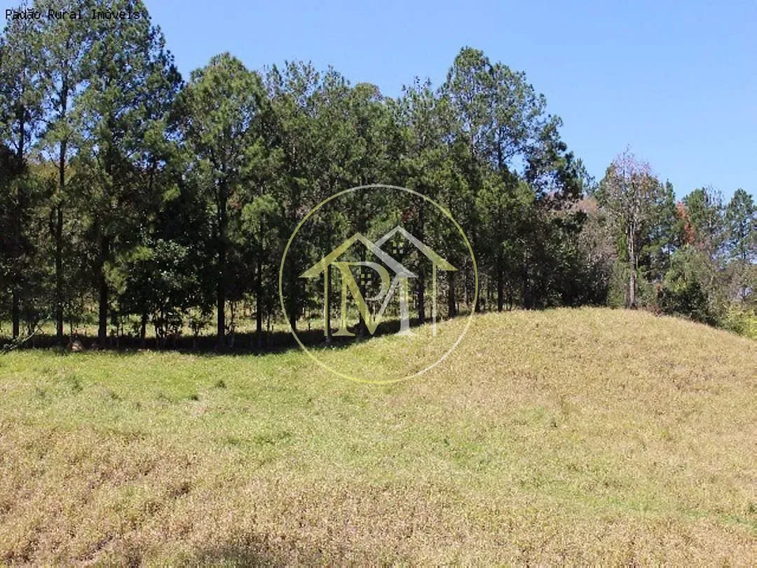 Fazenda, 17 hectares - Foto 2