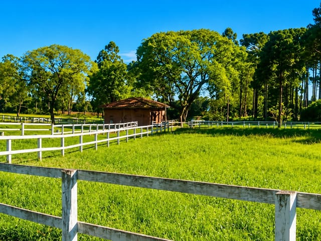 Haras com 171520m² 4 quartos e 5 banheiros, à venda, no bairro Área Rural de São José dos Pinhais em São José dos Pinhais