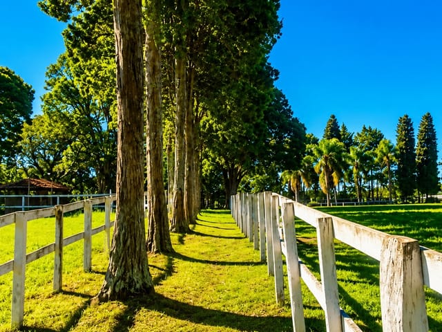 Haras com 171520m² 4 quartos e 5 banheiros, à venda, no bairro Área Rural de São José dos Pinhais em São José dos Pinhais