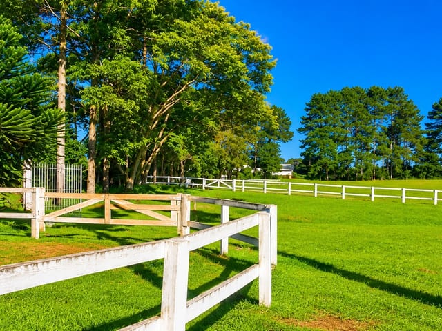 Haras com 171520m² 4 quartos e 5 banheiros, à venda, no bairro Área Rural de São José dos Pinhais em São José dos Pinhais