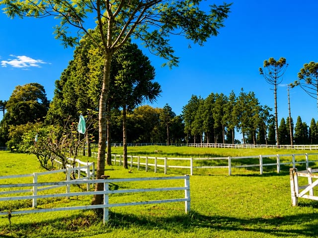 Haras com 171520m² 4 quartos e 5 banheiros, à venda, no bairro Área Rural de São José dos Pinhais em São José dos Pinhais