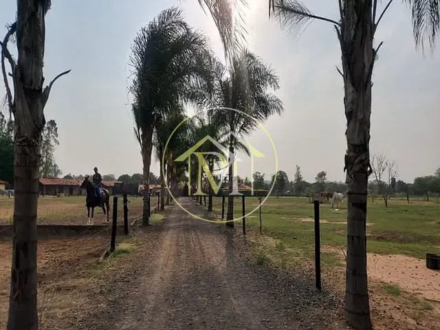 Haras com 20000m² 4 quartos e 3 banheiros, à venda, no bairro Salto em Salto