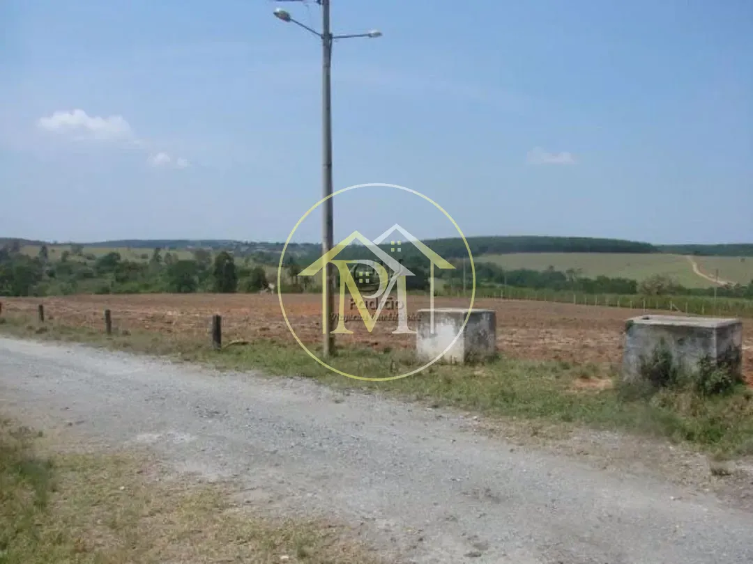 Fazenda, 87 hectares - Foto 6