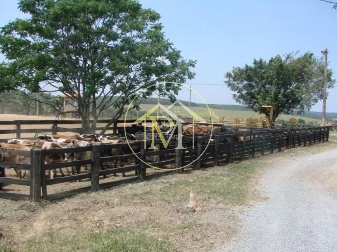 Fazenda, 87 hectares - Foto 10