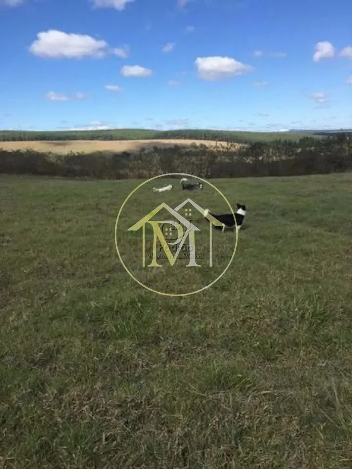 Fazenda, 87 hectares - Foto 9