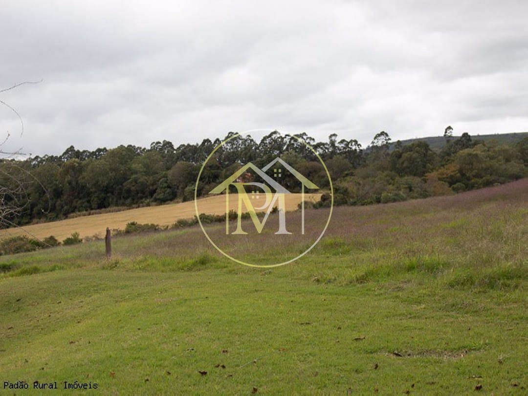 Fazenda à venda com 3 quartos, 363000m² - Foto 32
