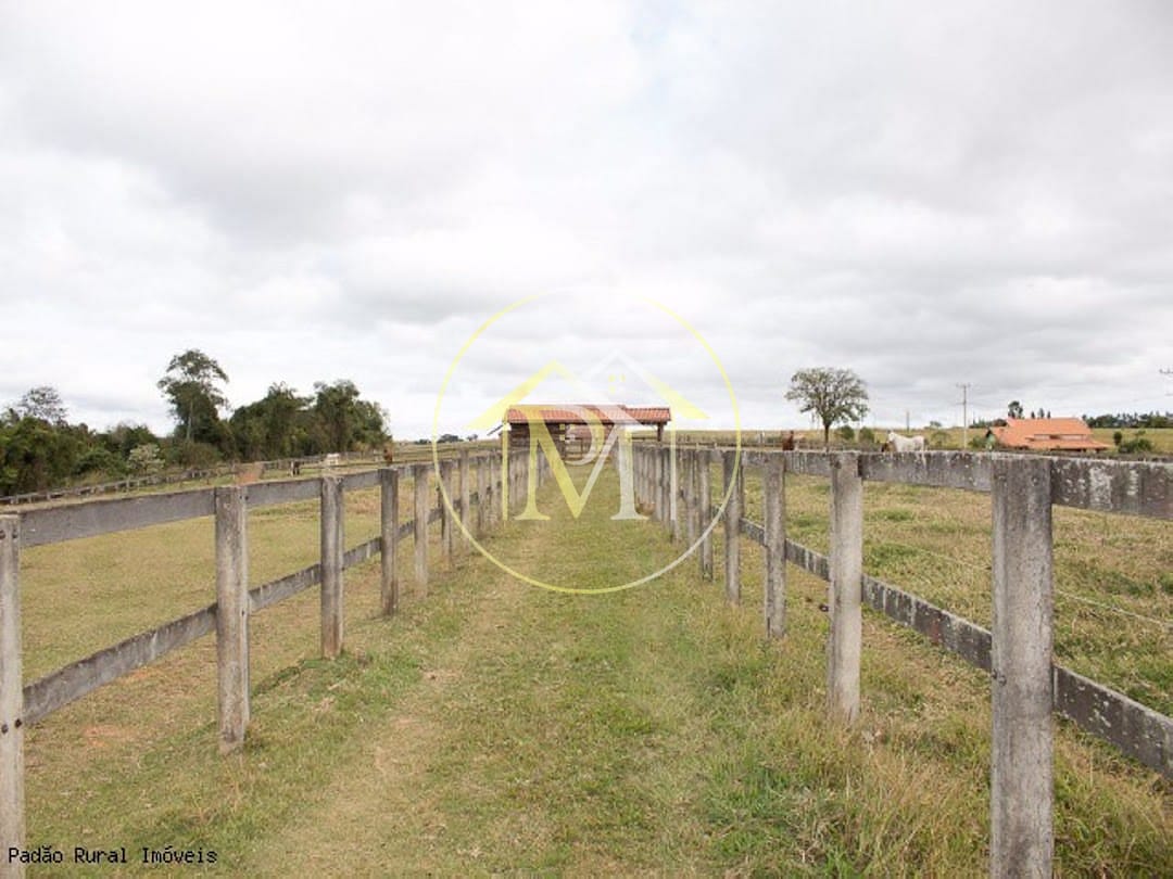 Fazenda à venda com 3 quartos, 363000m² - Foto 31