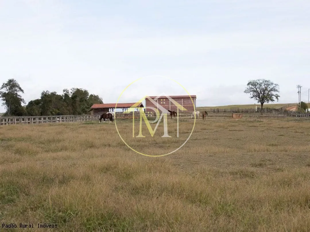 Fazenda, 36 hectares - Foto 34