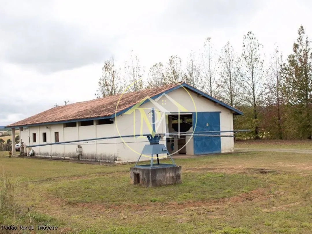 Fazenda, 36 hectares - Foto 26