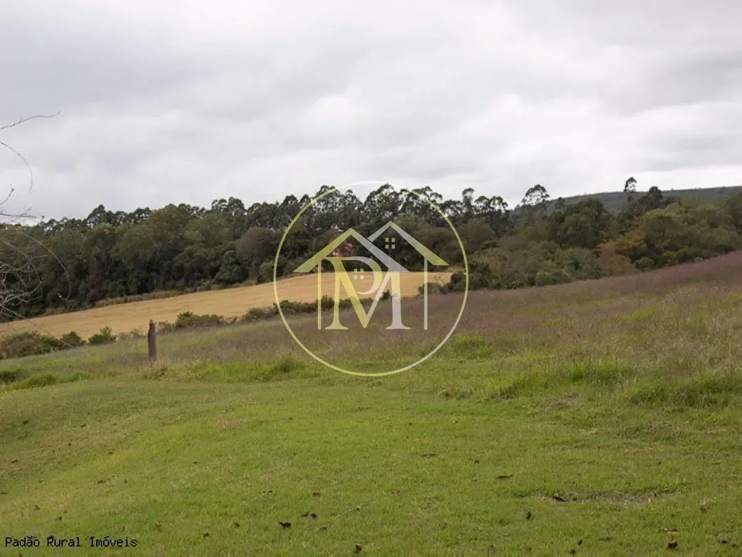 Fazenda, 36 hectares - Foto 32