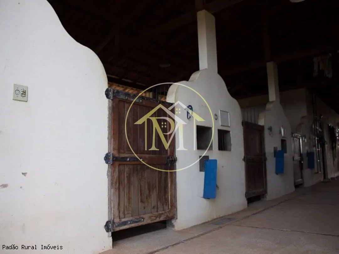 Fazenda, 36 hectares - Foto 25