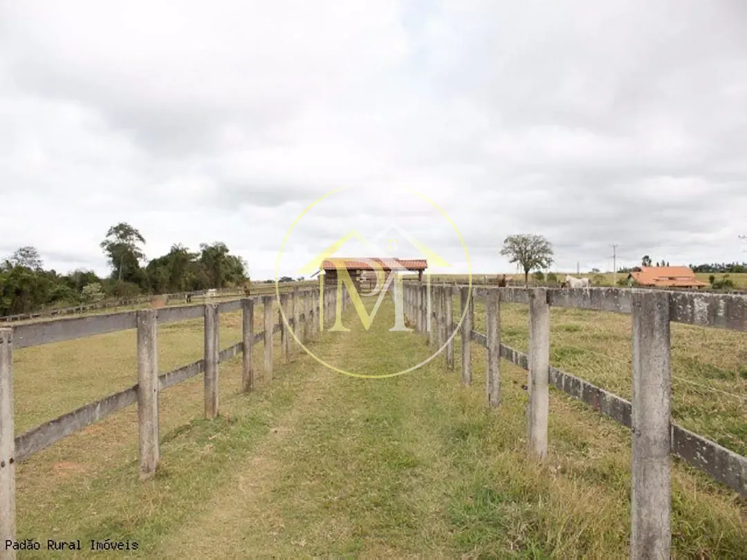 Fazenda, 36 hectares - Foto 31