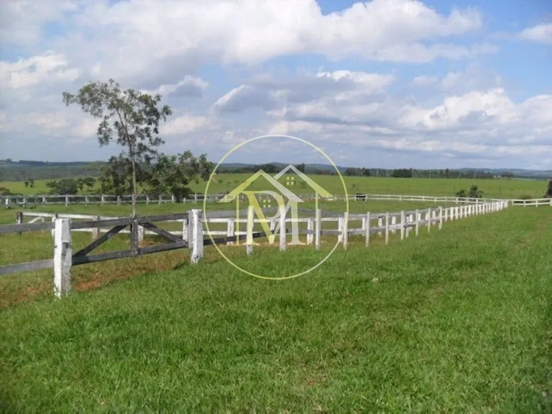 Fazenda, 92 hectares - Foto 15