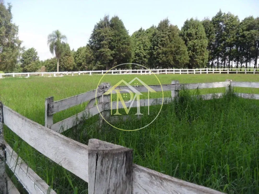 Fazenda, 92 hectares - Foto 17