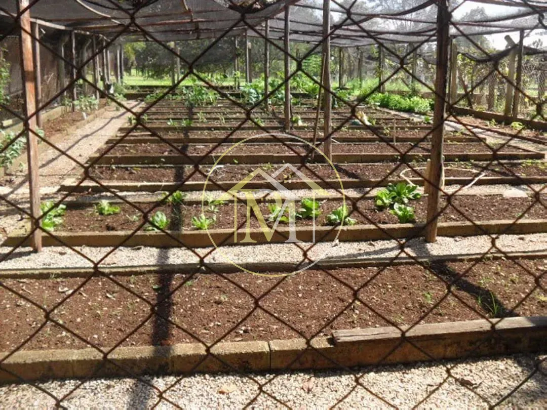 Fazenda, 92 hectares - Foto 10