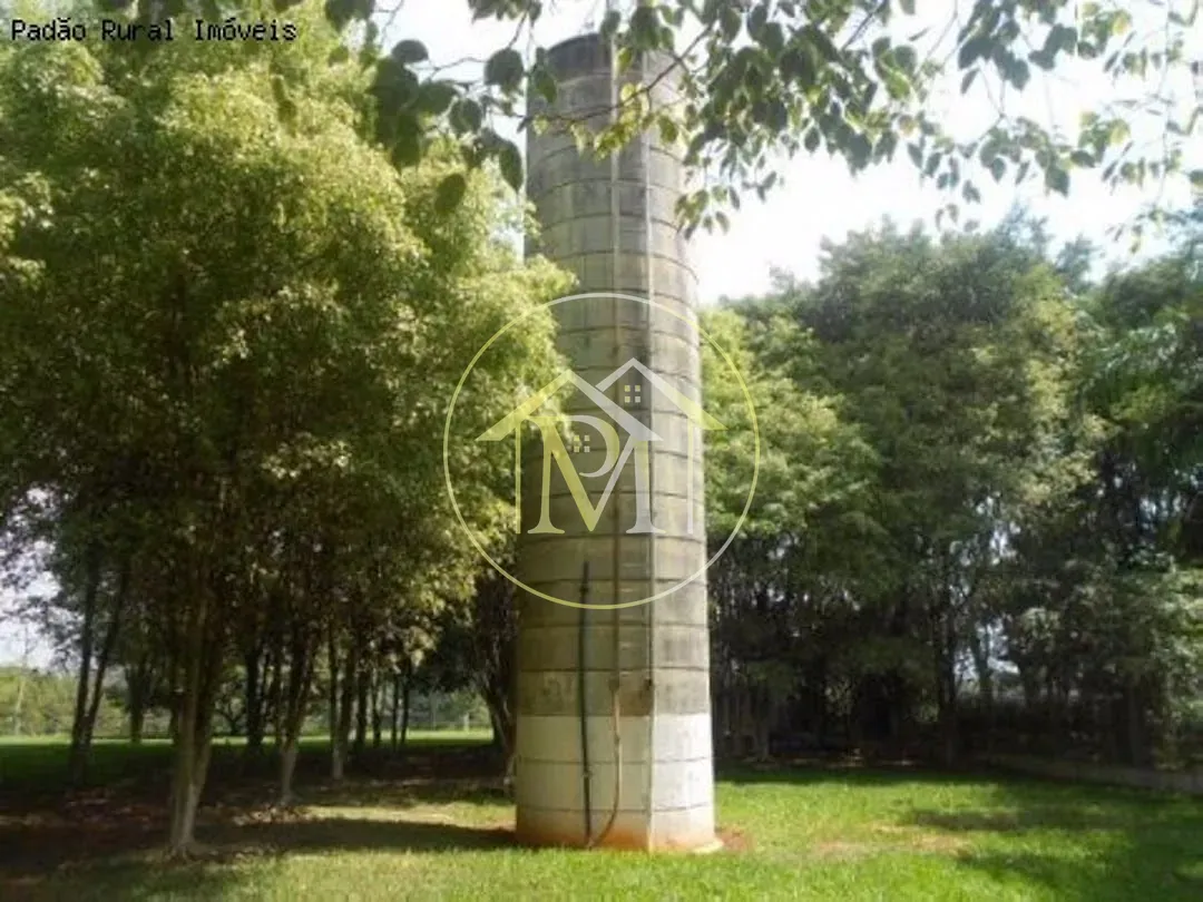 Fazenda, 92 hectares - Foto 42
