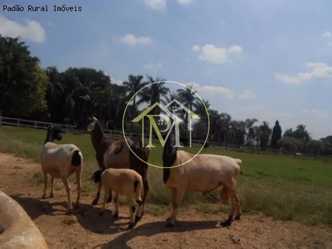 Fazenda, 92 hectares - Foto 40
