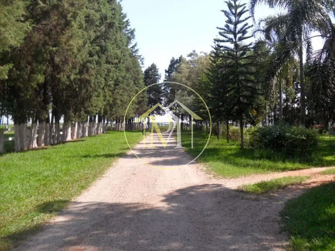 Fazenda, 92 hectares - Foto 9