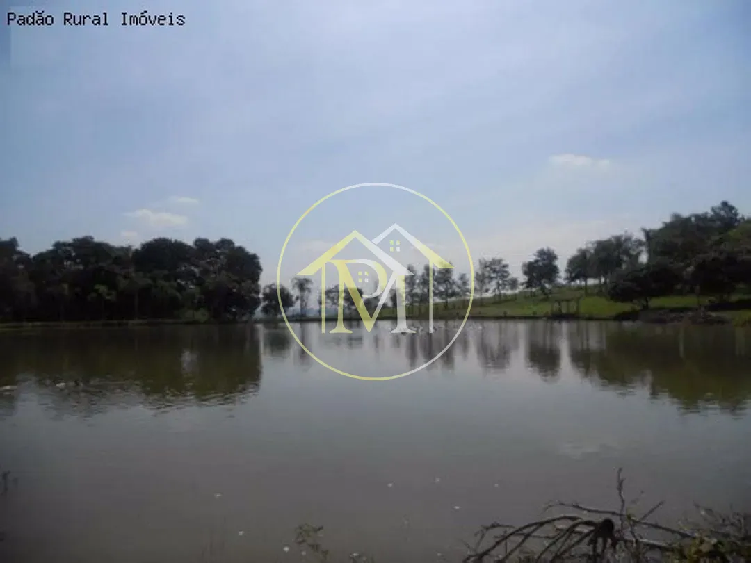 Fazenda, 92 hectares - Foto 32