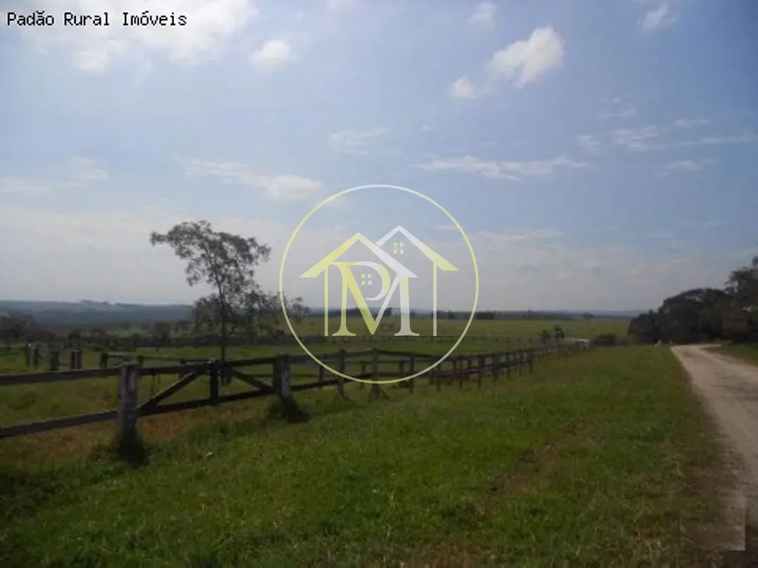 Fazenda, 92 hectares - Foto 31