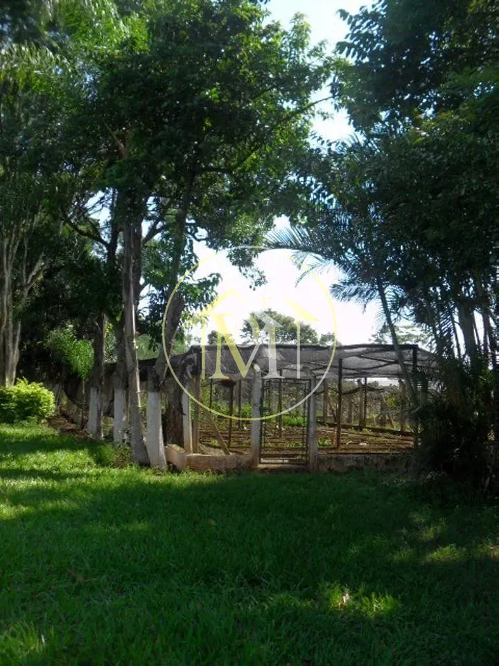 Fazenda, 92 hectares - Foto 11