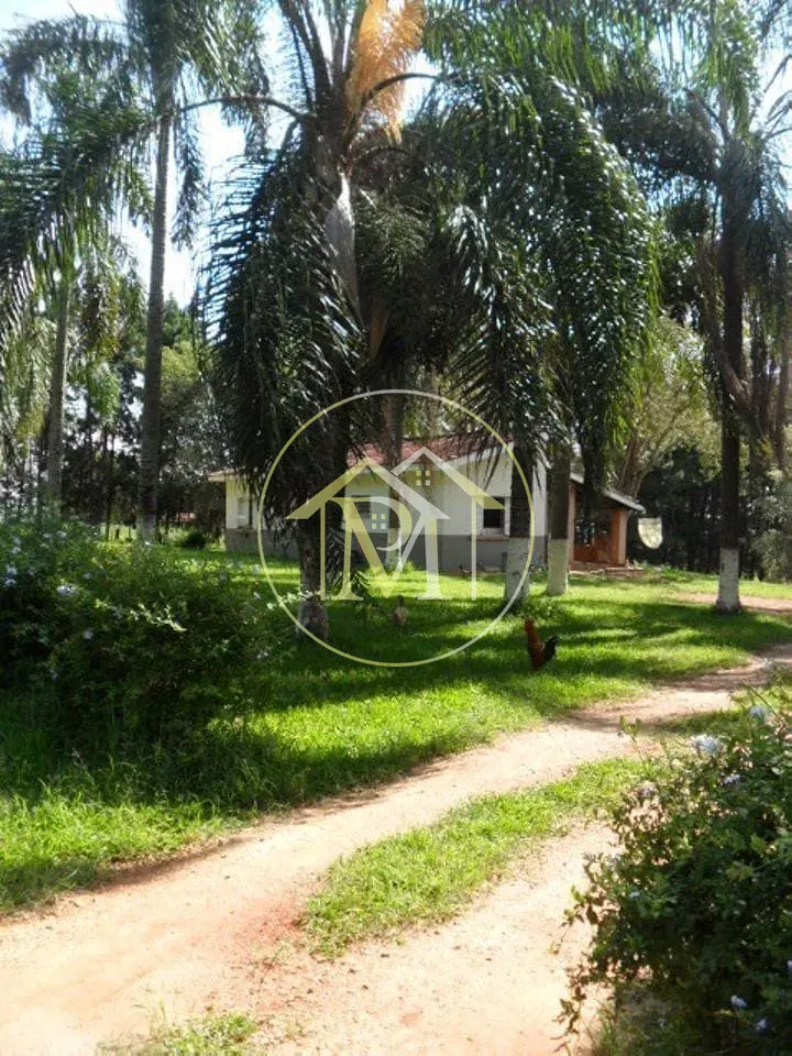 Fazenda, 92 hectares - Foto 7