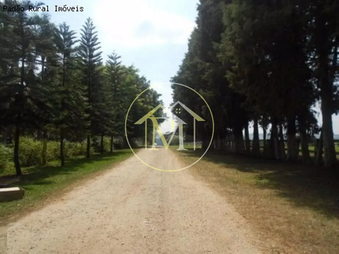 Fazenda, 92 hectares - Foto 37