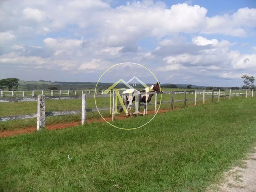 Fazenda, 92 hectares - Foto 20