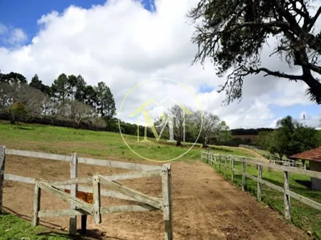 Haras com 7000000m² 4 quartos e 4 banheiros, à venda, no bairro Vila Sao Joao em Piedade