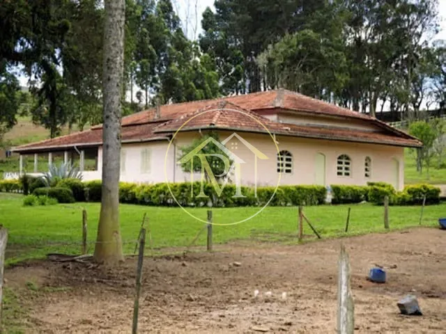 Haras com 7000000m² 4 quartos e 4 banheiros, à venda, no bairro Vila Sao Joao em Piedade