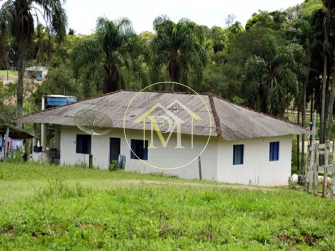 Fazenda, 700 hectares - Foto 14