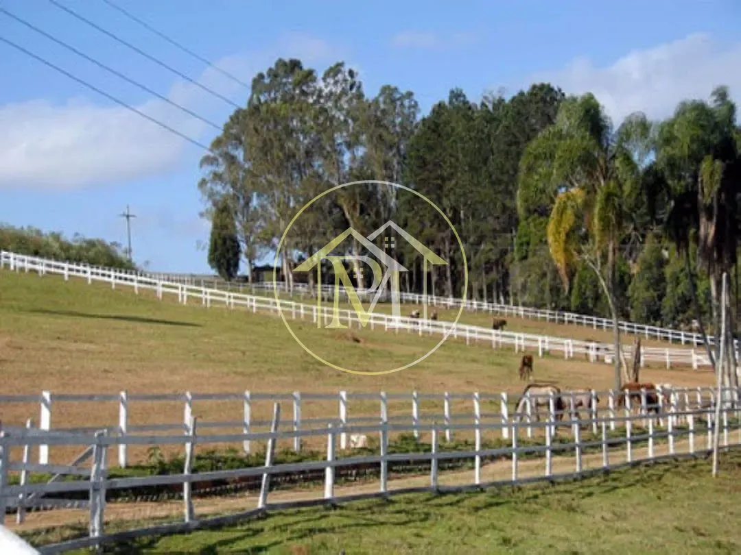 Fazenda, 700 hectares - Foto 19