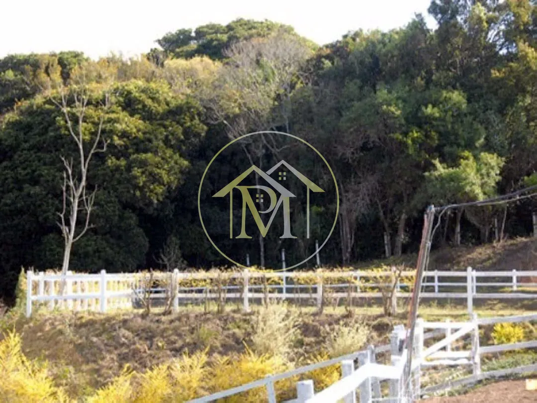 Fazenda, 700 hectares - Foto 24