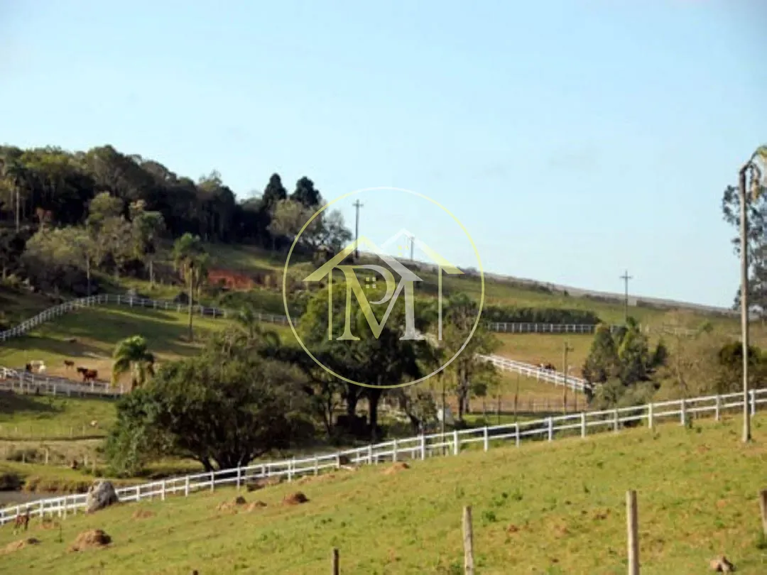 Fazenda, 700 hectares - Foto 29