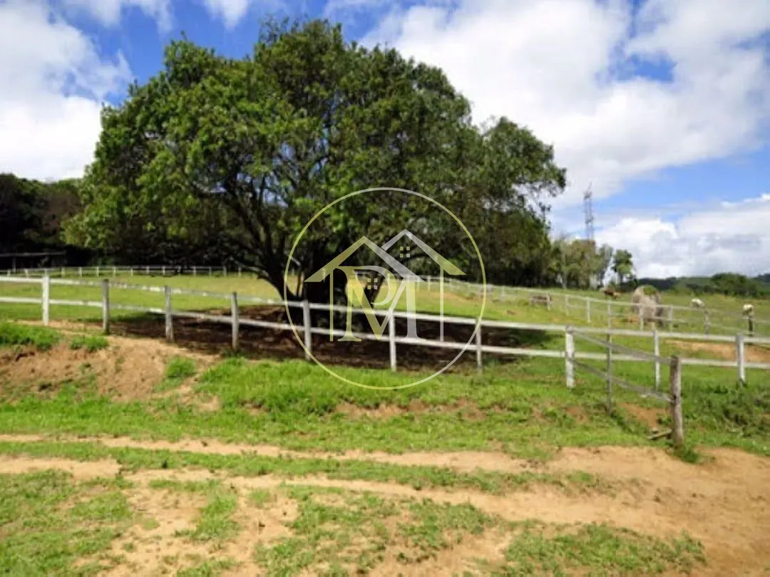 Fazenda, 700 hectares - Foto 15