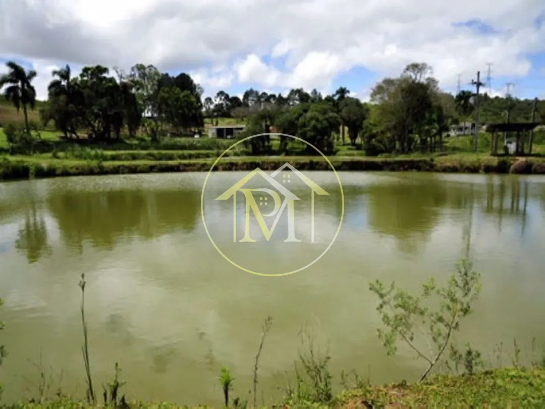 Fazenda, 700 hectares - Foto 18