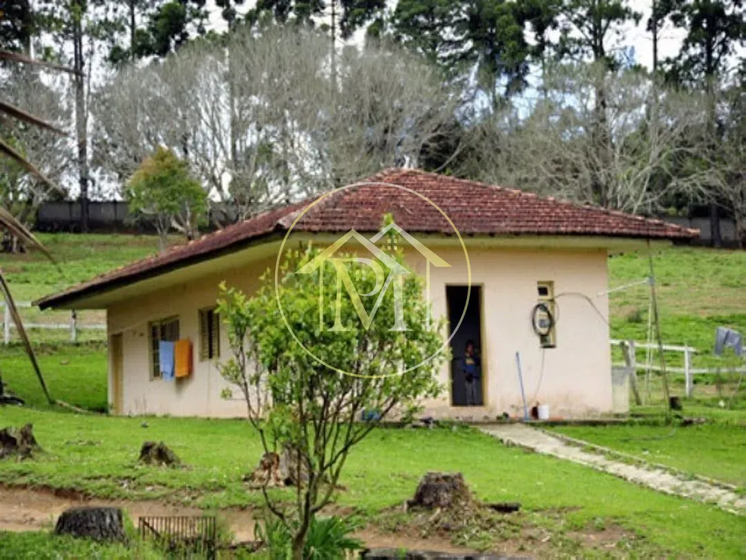 Fazenda, 700 hectares - Foto 8