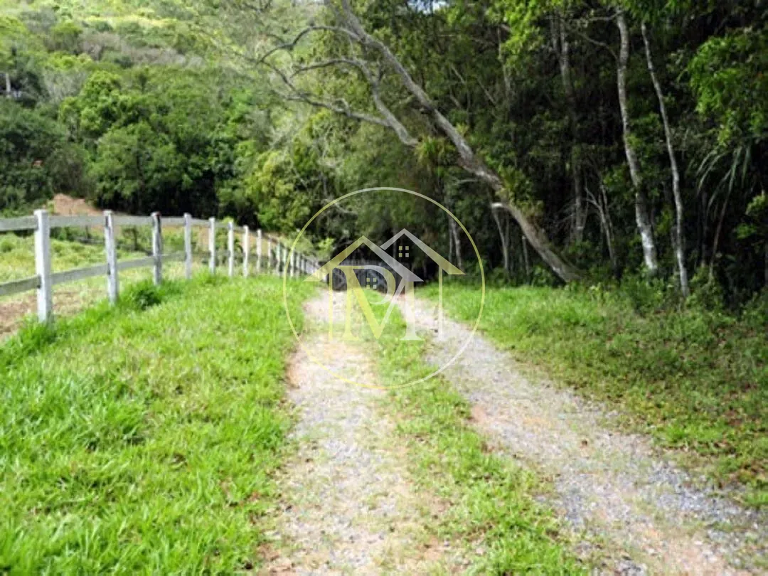 Fazenda, 700 hectares - Foto 11