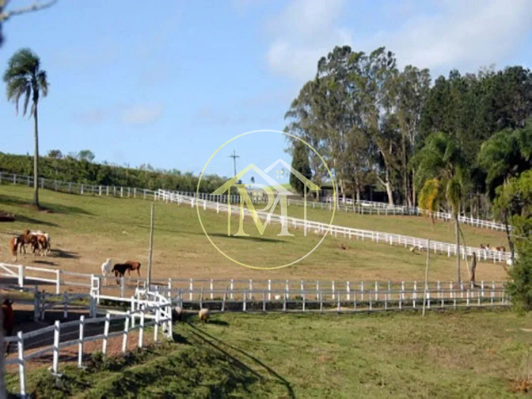 Fazenda, 700 hectares - Foto 27