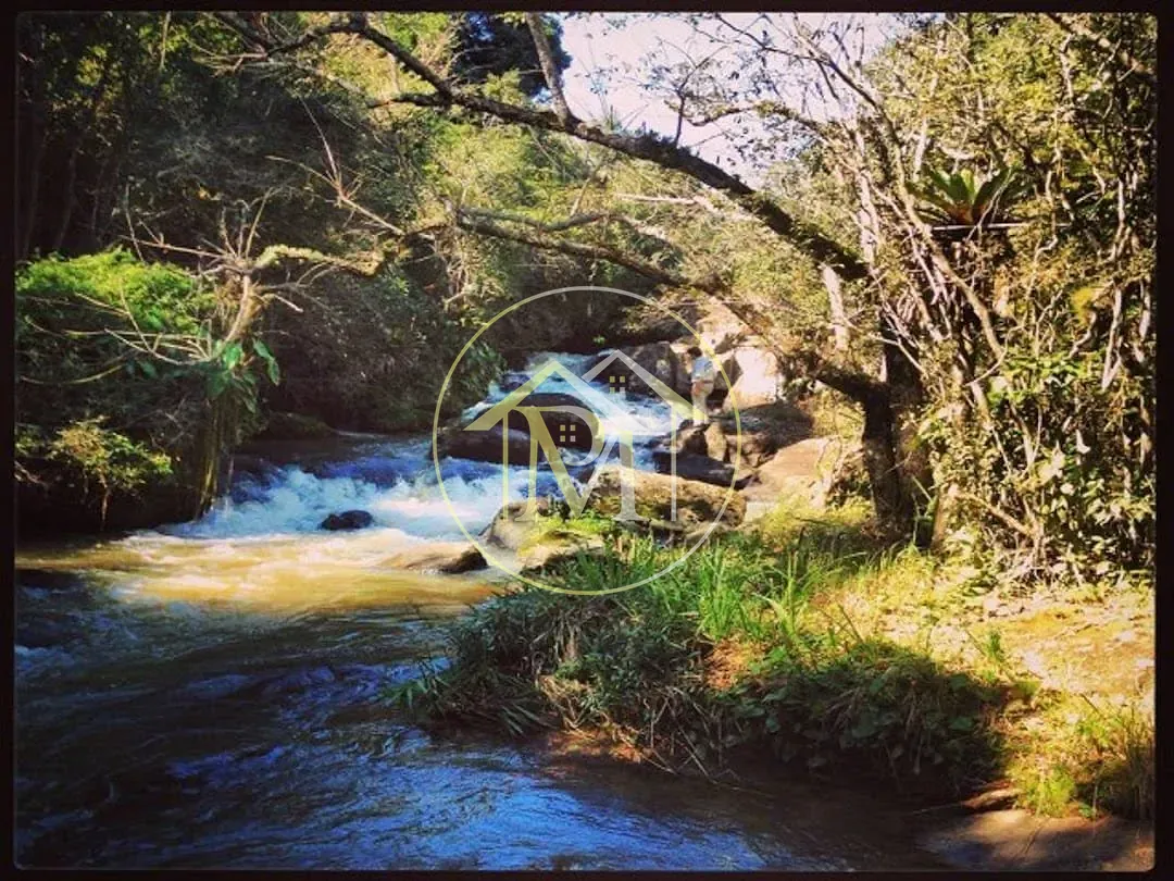 Fazenda, 700 hectares - Foto 21