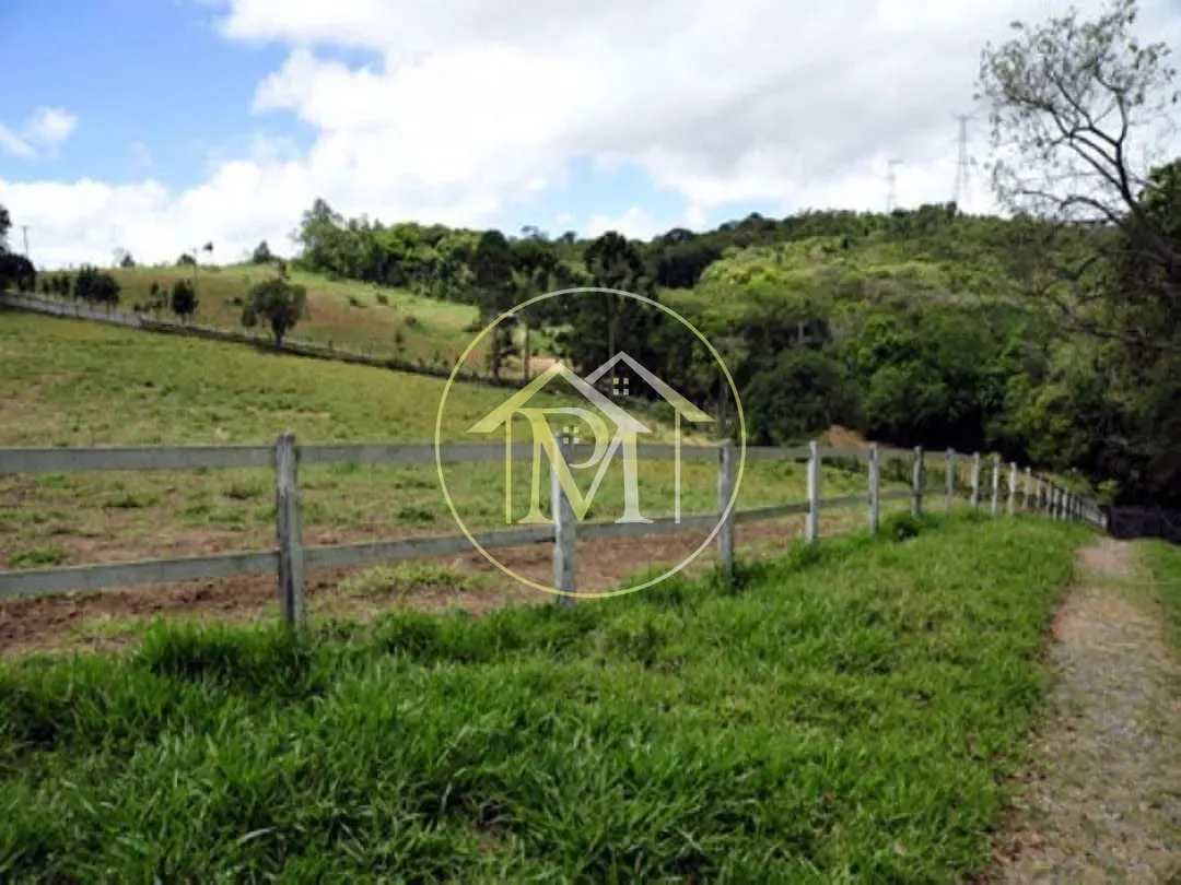 Fazenda, 700 hectares - Foto 12