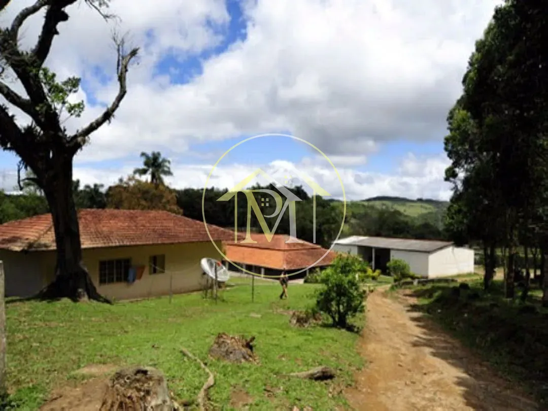 Fazenda, 700 hectares - Foto 6
