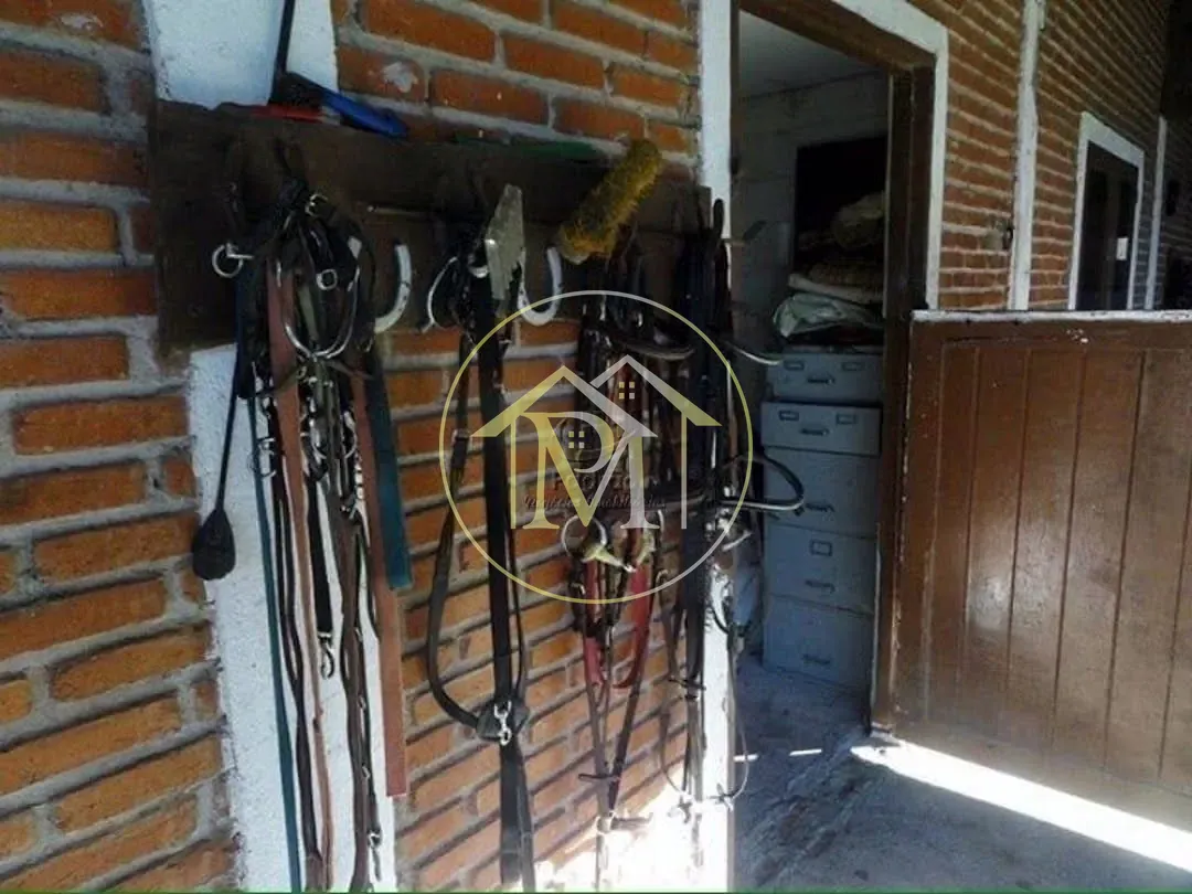 Fazenda, 12 hectares - Foto 10