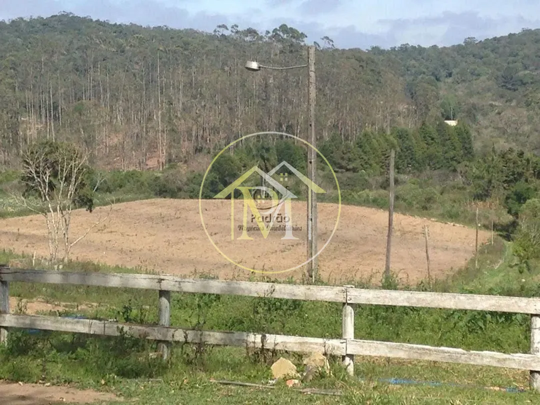 Fazenda, 12 hectares - Foto 8