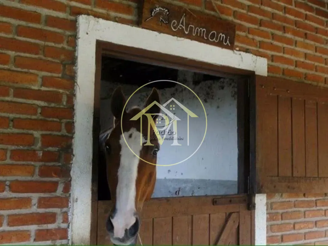 Fazenda, 12 hectares - Foto 12