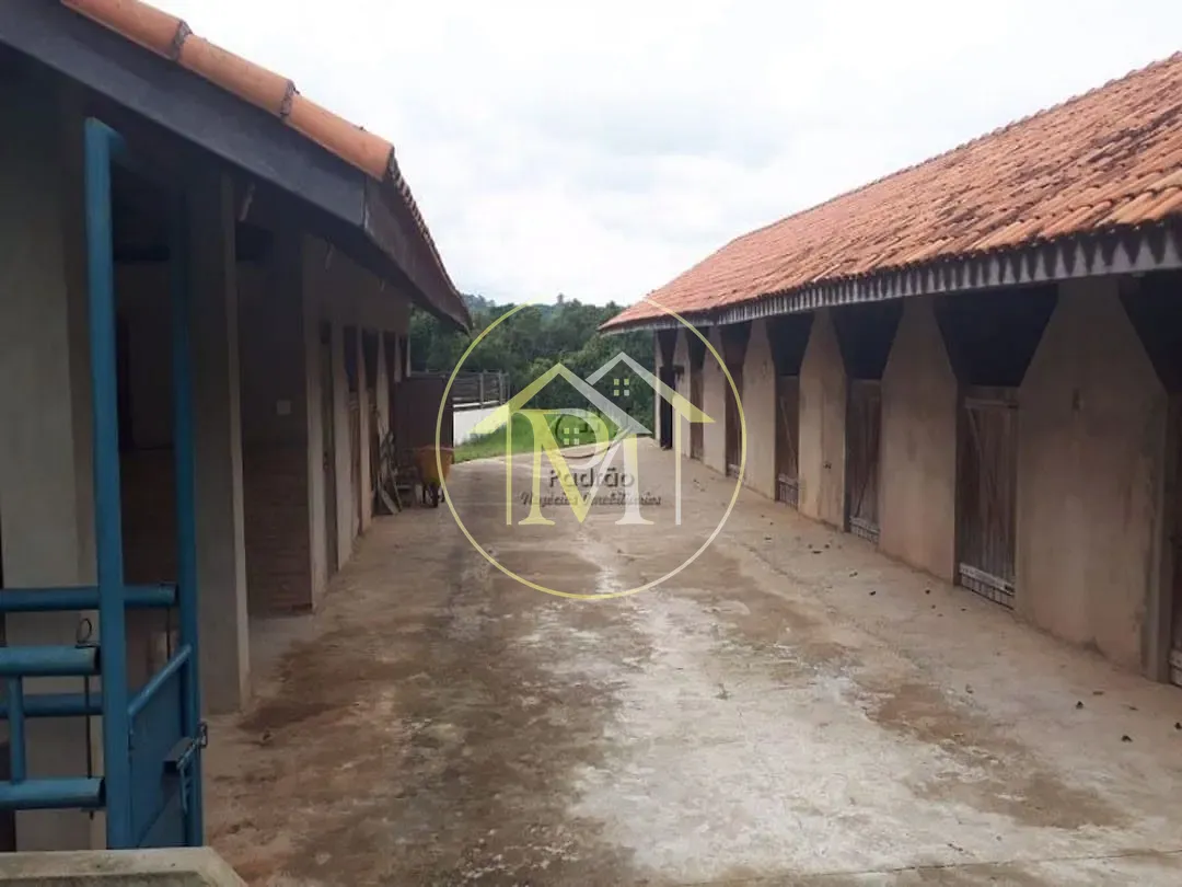 Fazenda, 8 hectares - Foto 11