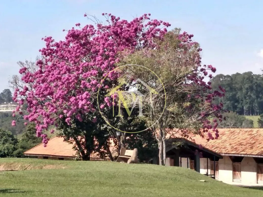 Fazenda, 8 hectares - Foto 33